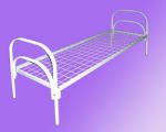 Металлическая кровать 1-но ярусная спинки металлические сетка с ячейкой 100х100 из проволоки сечением 4 мм